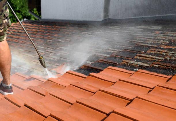 Best Commercial Building Pressure Washing  in Lake Vla, IL