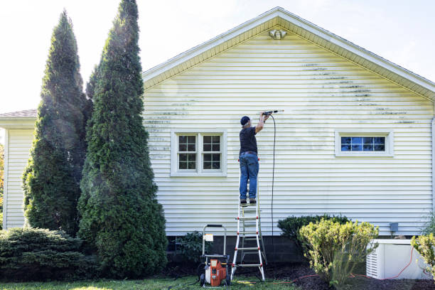 Best House Pressure Washing  in Lake Vla, IL