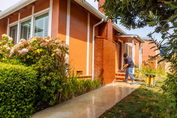 Best Residential Pressure Washing Services  in Lake Vla, IL
