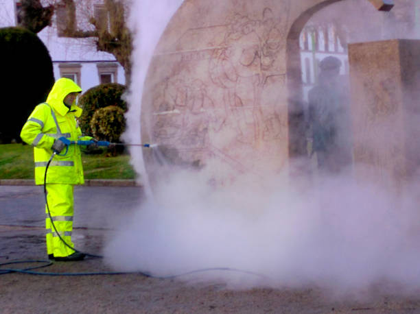 Best Exterior Home Cleaning  in Lake Vla, IL