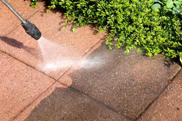 Best Fence Pressure Washing  in Lake Vla, IL